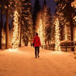 international trip in December