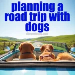 planning a road trip with dogs
